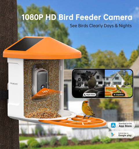 Outdoor Wireless Motion Detection Smart Bird Feeder with Camera-BFQ8