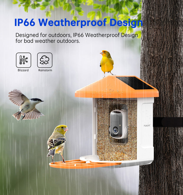 Outdoor Wireless Motion Detection Smart Bird Feeder with Camera-BFQ8