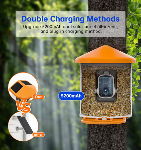 Outdoor Wireless Motion Detection Smart Bird Feeder with Camera-BFQ8